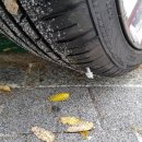 부광카클리닉 이미지