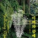 미그웨치 이미지
