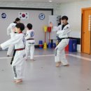 고려용호태권도 이미지