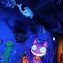 원더파크 이미지