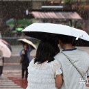 소나기 - 진주시 대신로 289-1 | 소나기