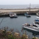 대포포구1 이미지