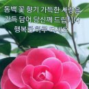 그사람ㅡ조용희 노래ㅡ이사람ㅡ다비치 노래ㅡ비비 각시ㅡ서 정아노래ㅡ수락산 산행ㅡ움짤 이미지 이미지