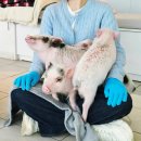 (주)코리아세븐 사직야구장본점 | 부산에 가면~ 하루도 있고 바다도 있고