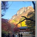 만추 - 달성군 테크노상업로4길 17-1 | 만추