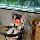 평택갈비 | 평택 안중 갈비 맛집 - 직화대첩 방문 후기