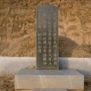 선세 이미지
