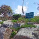 나훔펜션 이미지