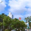 신기사거리(장미주유소 앞 횡단보도) | 대만 여행 4박5일 타이베이 4일차 with 용산사 보피랴오거리 타이베이101