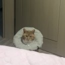 정릉스낵 이미지