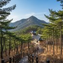 광명심포니오케스트라 송년음악회 | [2025 최신판] 금천구 여행 완전 정복! 숨겨진 맛집부터 쇼핑 아울렛, 인생샷 명소까지!