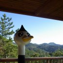 팔영산국립공원 이미지