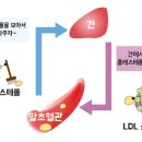 한미메드 이미지