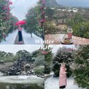 팜파스휴게식당 | 겨울 제주도 2박3일 서귀포 여행코스 추천