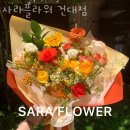 사라플라워 이미지