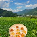 하대동103 | 개성주악 만들기 원데이 클래스 진주 하대동 비건 한식 디저트카페 늘새솔