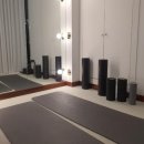 올바디짐 이미지