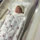 더뺌의원 | 41주 1일 초산모 유도분만 성공 출산 후기, 로즈메디 산부인과 (무통주사 O)