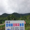 평창진이네오미자농장 이미지