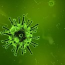 프로세탁 이미지