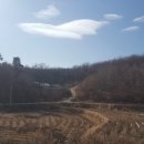 구정염소농장 이미지