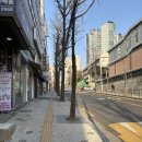 송파 꽈배기 맛집 추천 백금서당 찹쌀꽈배기 잠실 도너츠 맛집 송파 꽈배기전문점 송파 동네 맛집