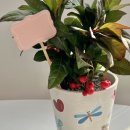 상경병설유치원 이미지