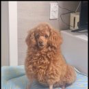 멍했냥 평택본점 이미지