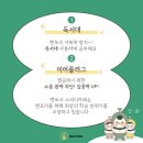 멘토즈 이미지