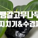 신영고무