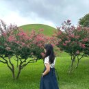 [경주여행] 경주 2박3일, 경주데이트, 대릉원, 노워즈, 이제경주, 경주 뚜벅이 여행