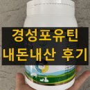 주자건강원 | 경성포유틴 내돈내산 후기 효과 부작용 복용법 성분 효능