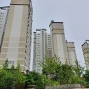 잔다리(세교) 이미지