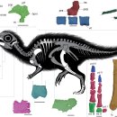 둘리(dooly) 이미지