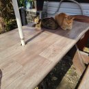 미송갈비탕 이미지