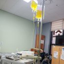 참진의원 이미지