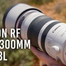 [ 캐 논 ] RF100-300mm F2.8 L IS USM 이미지