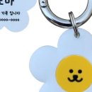 별별강아지 이미지