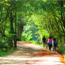 계족산황톳길 이미지