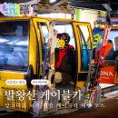 매일카프라자 | 평창 발왕산 케이블카 타고 만난 겨울 상고대 풍경