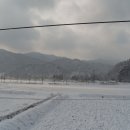 관정1리 이미지