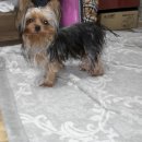 대한통운빌딩 이미지