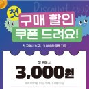 디오디컴퍼니