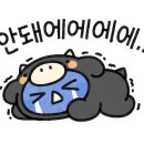 돌돌말아뽀글뽀글 이미지