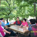 민들레울 이미지