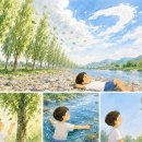 ＜COTTONWOOD＞ 미루나무 - 윤동재 시인의 ＜그림 그리는 미루나무＞와 ＜미루나무와 강물과 새＞ 이미지
