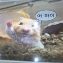 반짝반짝 - 고양시 일산동구 일산로463번길 51-2 | 반짝반짝