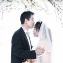 축복사진관