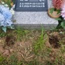 다솜마루 이미지