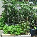 알찬농장 이미지